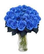 Синие розы польза гмо